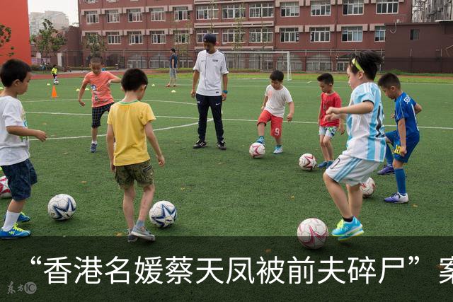 “香港名媛蔡天凤被前夫碎尸”案细节：夫妇俩澳门欠下赌债，前夫父亲挑选一价格较贵的意大利制绞肉机，并称“能把肉绞得更碎、动力更强”