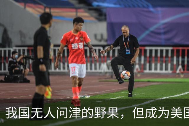 我国无人问津的野果，但成为美国人的心头宝，60元1斤供不应求？