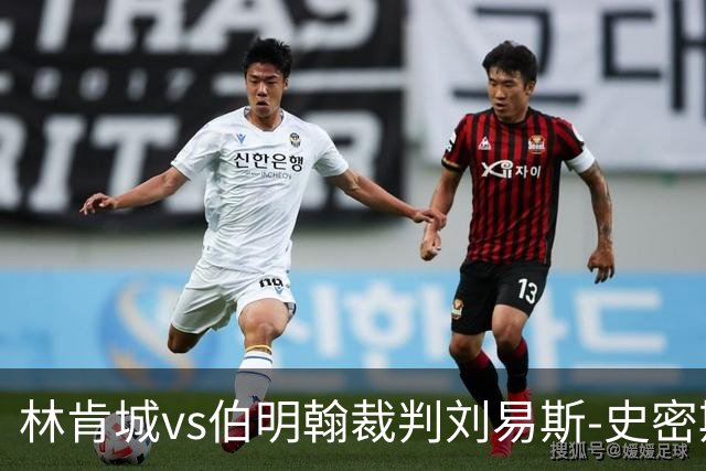 林肯城vs伯明翰裁判刘易斯-史密斯数据：近20场2红74黄6点