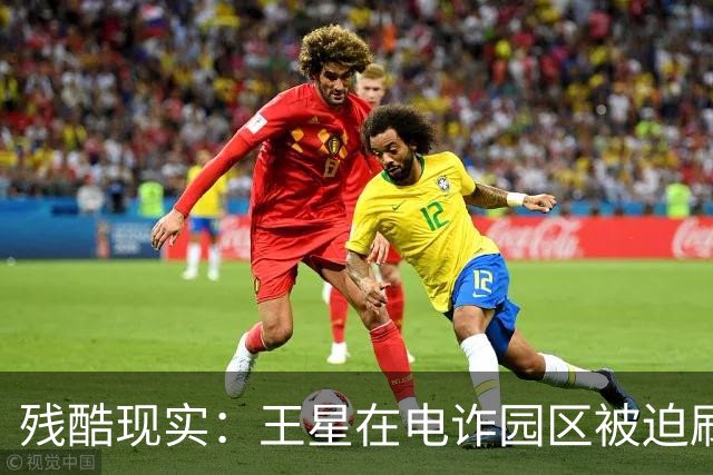 残酷现实：王星在电诈园区被迫刷脸借贷，被救1年多，仍分期还钱