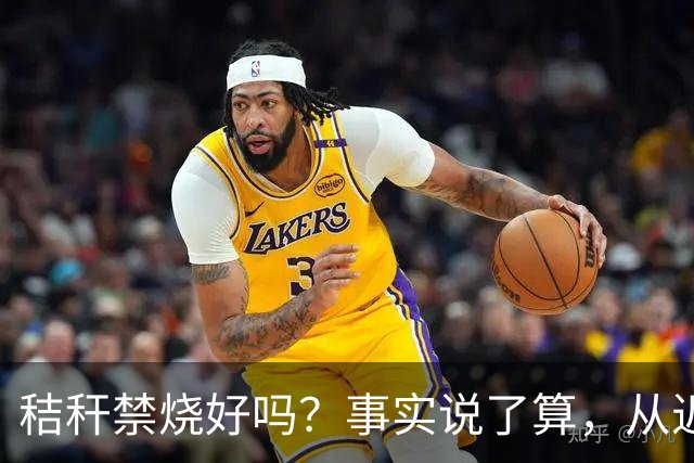秸秆禁烧好吗？事实说了算，从近年蚯蚓鸟类和蛇类数量就可看出来