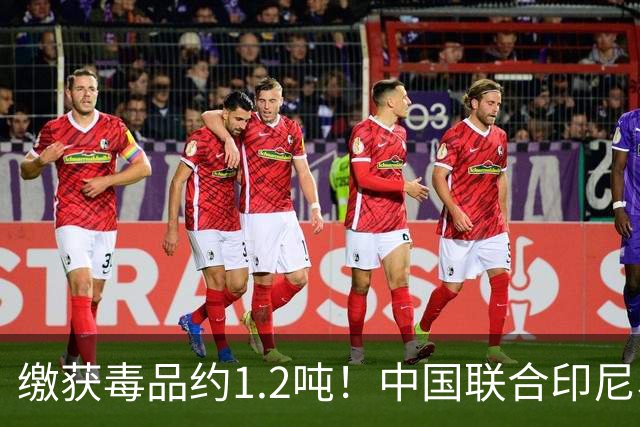 缴获毒品约1.2吨！中国联合印尼、马来西亚破获一起特大跨国制贩毒案