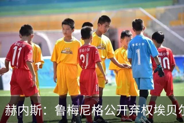 赫内斯：鲁梅尼格公开弃权埃贝尔投票没必要
