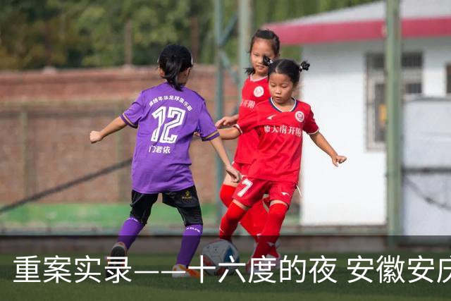 重案实录——十六度的夜 安徽安庆女医学生遭前男友杀害案始末