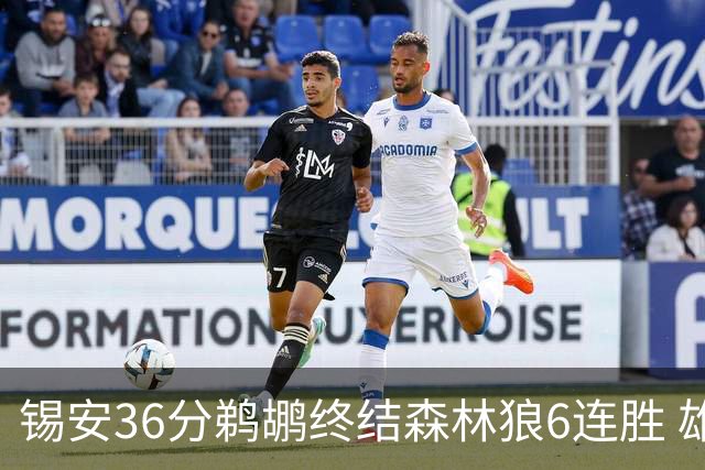 锡安36分鹈鹕终结森林狼6连胜 雄鹿险胜公牛