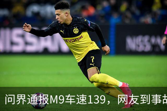 问界通报M9车速139，网友到事故现场围观：信号灯仅柱子微脏