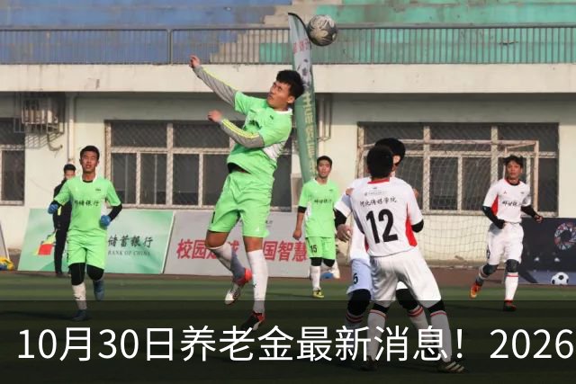 10月30日养老金最新消息！2026上调补发开启每个人补发月份不一样