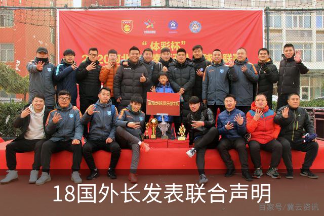 18国外长发表联合声明